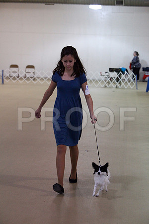 IMG_0052