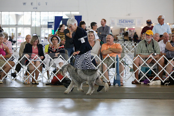 _JJ_1934-DallasJul2014-HR3