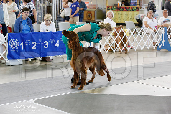 _JN_2482-DallasJul2014-HR3