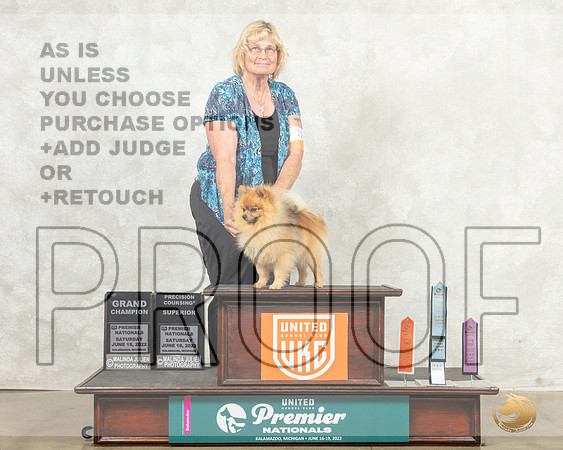 Pomeranian #224 Sat TCGCh__MJ_8457_Premier_2022_HR3