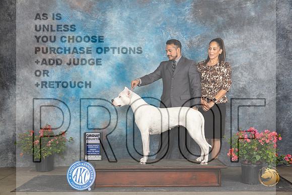Dogo Argento #12 Fri G4 Judge Wendy G Willhauck__JP_4489_San Antonio_2024_HR3