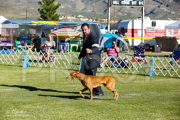 _JN_9766-AlamogordoOct2014-HR3