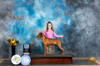 Vizsla #J401 Sun BJr Judge Edy Dykstra-Blum