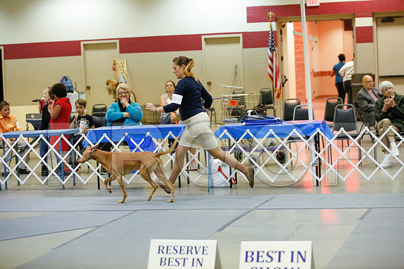 _JJ_0836-AmarilloSept2014-HR3