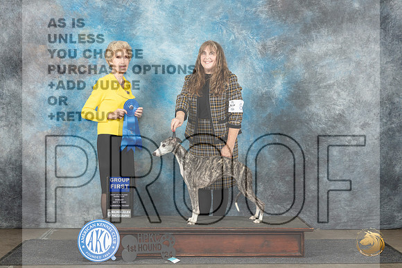 Whippet #8 Sun G1 Judge June Penta__JP_4084_Lubbock_2024_HR3