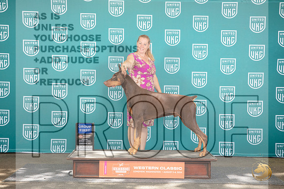 Dobermann Pinscher #409 Sun G1 Judge Sharron Griffin__JP_1970_Longview WA_2024_HR3