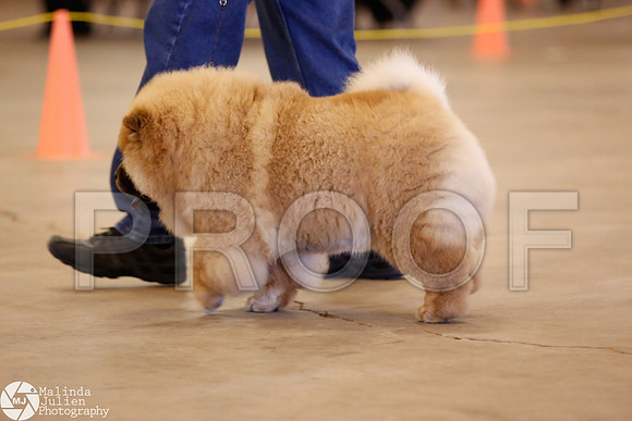 CHOW-0526-Waco14-HR