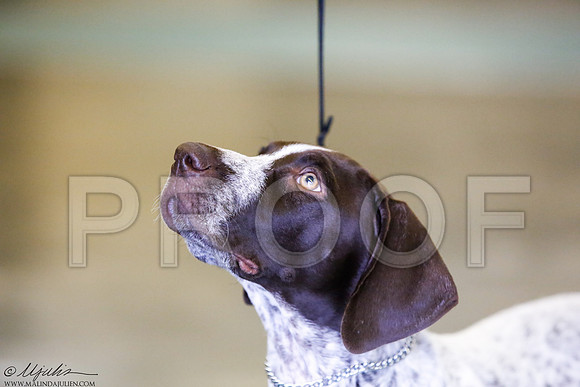 _J3L3609-BeltSep2014-HR