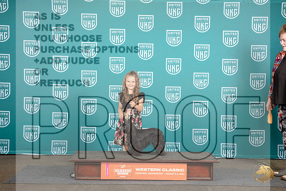 Chinese Crested #282 Sun 1st PreJr Judge Sharron Griffon__JP_1642_Longview WA_2024_HR3