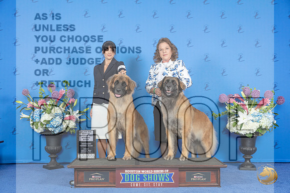 Leonberger #6 #8 FRI WB BOS M Judge Douglas Johnson__JP_8735_Houston_2024_HR3
