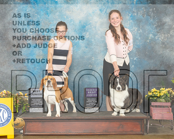 Beagle #29 Cardigan #J17 Sun BJr RBJr Judge Jan Sigler-MMJ_1622-NWARK2022-HR3