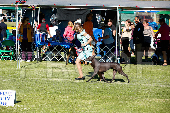 _JN_7700-AlamogordoOct2014-HR3