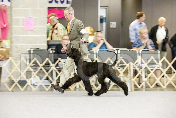 _JJ_1371-AfgBeltonOct2014-HR3
