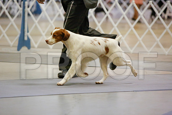 _JJ_2165-AmarilloSept2014-HR3