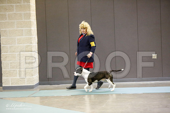 _RH_0370-BeltonJan2015-HR3