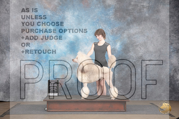 Poodle Standard MC #420 Sat VetRBIS Judge Brenda Landers__JP_2772_LongviewTX_2024_HR3