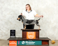 Basset bleu de Gascogne #238 Thurs Top10AOE Judge Diana Brumbaugh