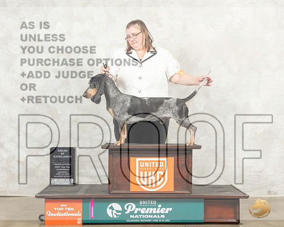 Basset bleu de Gascogne #238 Thurs Top10AOE Judge Diana Brumbaugh__MJ_8629_Premier_2022_HR3