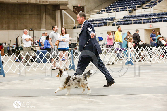 _JJ_1697-AblnMay2014-web