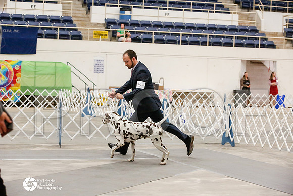 _JJ_0386-AblnMay2014-web