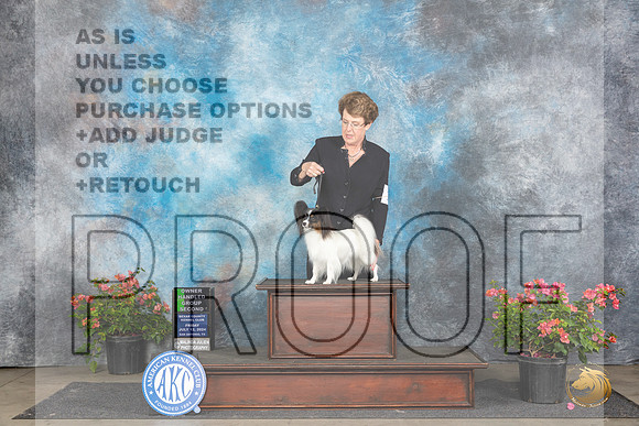Papillion #16 Fri OHG2 Judge Christie Martinez__JP_5027_San Antonio_2024_HR3