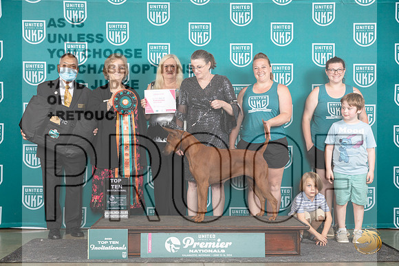 Thai Ridgeback #1104 Thur T10 2nd__JP_1405_Premier_2024_HR3