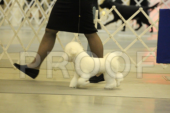 MJS_7546