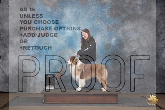 Australian Shepherd @255 Sun NCh Judge Chandra Martin__JP_3047_LongviewTX_2024_HR3