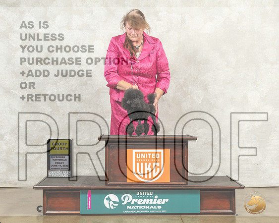 Poodle Toy #1295 Fri AG4 Judge Linda Reece__MJ_8009_Premier_2022_HR3