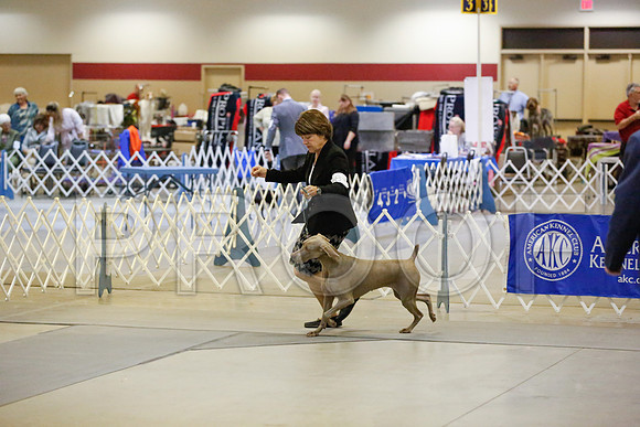 _JN_9170-AmarilloSept2014-HR3