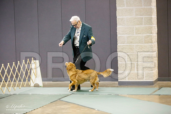 _LH_3091-BeltonJan2015-HR3