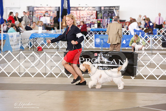 _JJ_7643-DallasJul2014-HR3