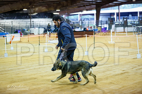 BISpup-5031-MrshllDec13-HR