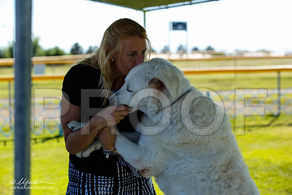 _JN_7782-AlamogordoOct2014-HR3
