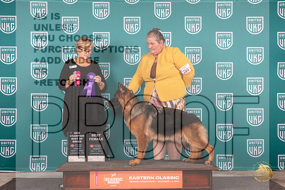 German Shepherd Dog #189 Fri BOBCH Judge Kathy Russell__JP_1821_UKCEastern_2024_HR3