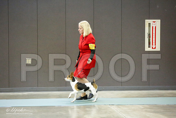 _RH_0385-BeltonJan2015-HR3