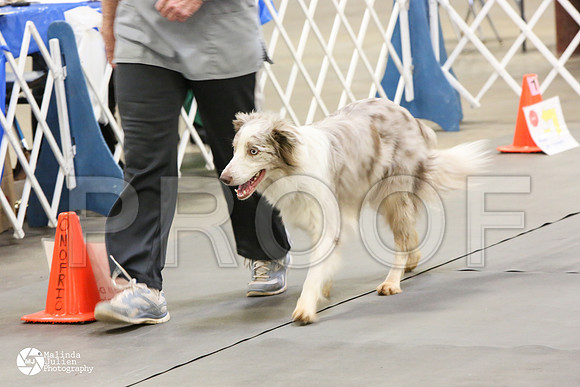 MJ2_9265-BltnApr14-HR