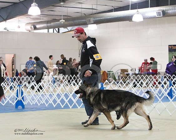 GSD-5313LR