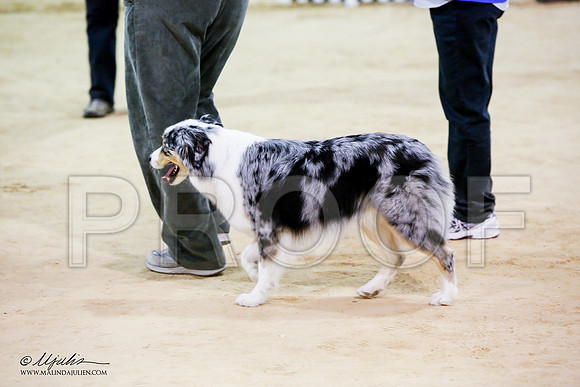 _JN_7684-ASCACollegeStationNov2014-HR3