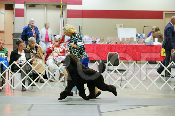 _JJ_4768-AmarilloSept2014-HR3