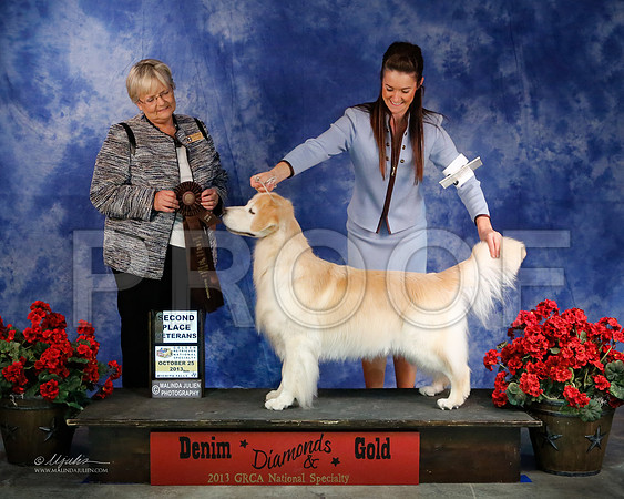 Vet-8356-WFOct2013-HR