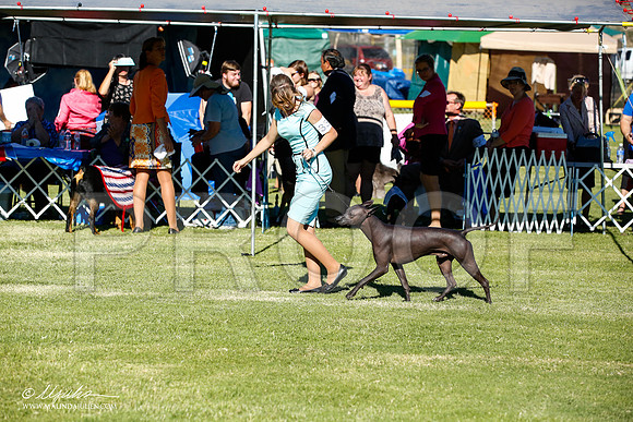 _JN_7697-AlamogordoOct2014-HR3