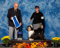 Tibetan Terriers #11 Sat G1 Villegas Alejandro Lynn Meyer M L Lafler Judge Mr Gary L Andersen