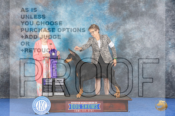 Doberman #40 WED WD NC Judge Nancy Liebes__JP_7308_Houston_2024_HR3