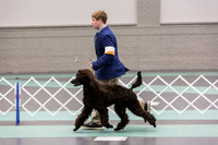 Poodle Std Rings Sat