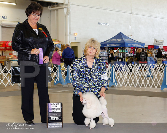 _RH_7915-2-DallasDec2014-HR3