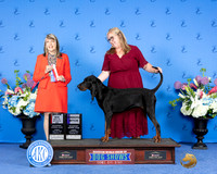 Amy Ernst Houston 2024