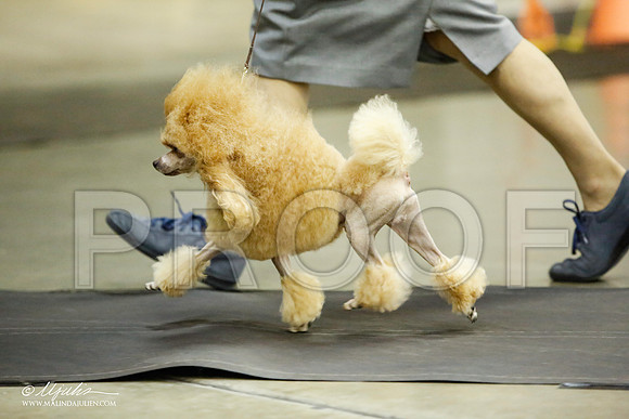 _JJ_5490-BeltonJan2015IABCA-HR3