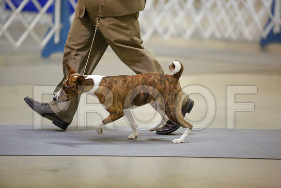 _JN_3851-AmarilloSept2014-HR3