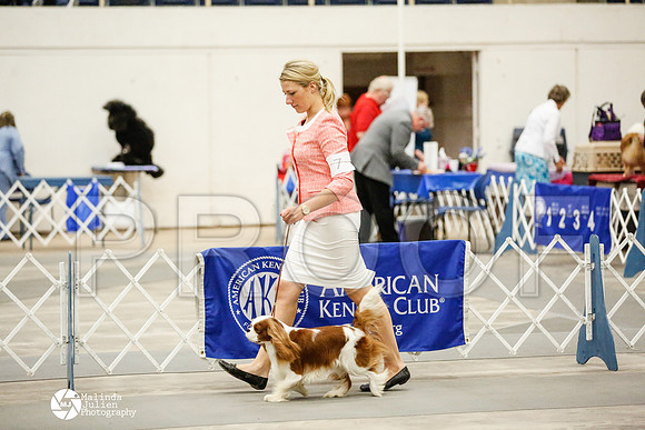 _RH_3847-AblnMay2014-web